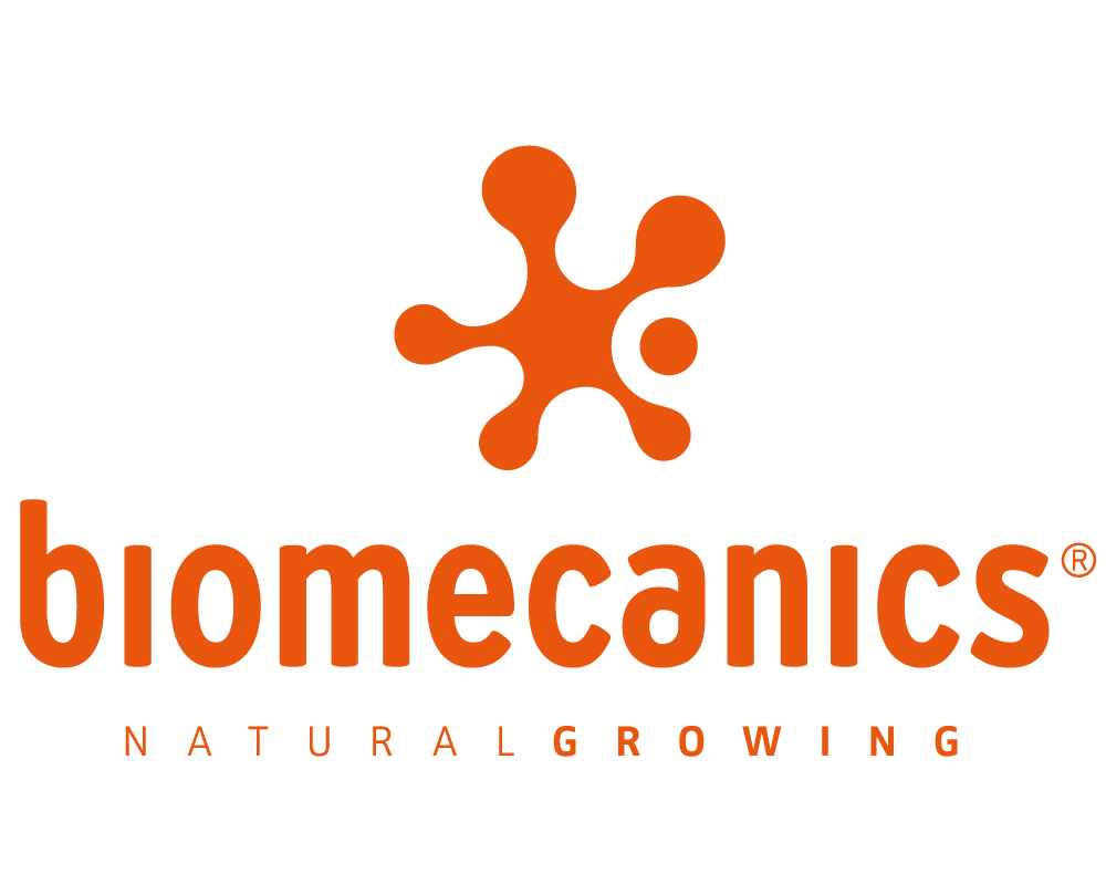 Biomecanics